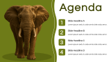 Elephant Presentation Template - Slide 2