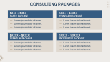 Management Consulting Slides - Slide 9