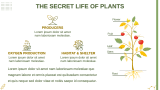 Advanced Biology for High School - Slide 10