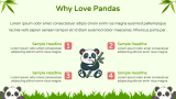 Cute Panda - Slide 4