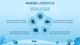 Marine Theme - Slide 7