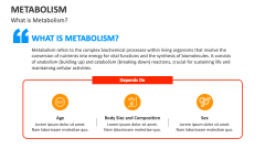 What is Metabolism? - Slide 1
