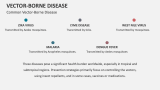 Common Vector-Borne Disease - Slide 3