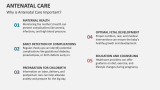 Why is Antenatal Care Important? - Slide 3