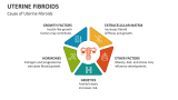 Cause of Uterine Fibroids - Slide 4