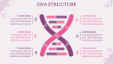 Dna Presentation Theme - Slide 4
