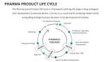 Pharma Product Life Cycle - Slide 3