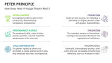 How Does Peter Principal Theory Work? - Slide 2