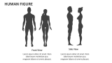 Human Figure - Slide 1