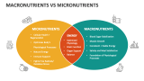 Macronutrients Vs Micronutrients - Slide 1