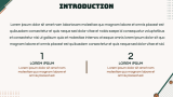 Pickleball Presentation Template - Slide 3