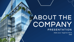 About The Company Presentation - Slide 1