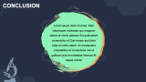 Scientific Project Proposal - Slide 10