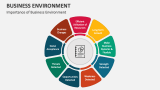 Importance of Business Environment - Slide 4