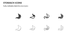 Stomach Icons - Slide 2