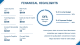 Corporate Executive Summary - Slide 11