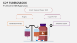 XDR Tuberculosis - Slide 6