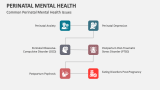 Common Perinatal Mental Health Issues - Slide 3