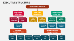 Executive Structure - Slide 1