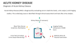 Diagnosis of Acute Kidney Disease - Slide 6