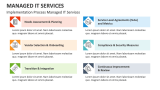 Implementation Process Managed IT Services - Slide 3