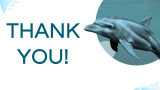 Dolphin Presentation - Slide 12