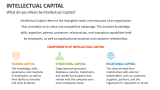 What do you Mean by Intellectual Capital? - Slide 2