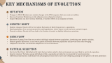Theories of Evolution - Slide 4