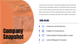 Travel Agency Business Plan - Slide 3