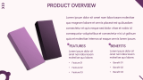 New Product Launch Marketing Plan - Slide 4