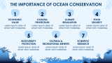 Save The Ocean - Slide 7