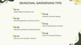 Gardening Workshop - Slide 11