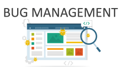 Bug Management - Slide 1