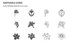 Daffodils Icons - Slide 2