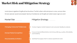 FMCG Company Business Plan - Slide 13