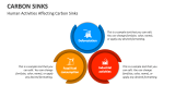 Human Activities Affecting Carbon Sinks - Slide 6