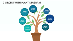 7 Circles with Plant Diagram - Slide 1