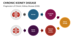 Progression of Chronic Kidney Disease (CKD) - Slide 2