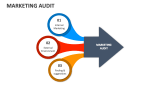 Marketing Audit - Slide 3