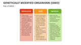 Risk of Genetically Modified Organisms (GMO) - Slide 6