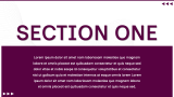 Marketing Plan Presentation - Slide 3
