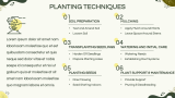 Gardening Workshop - Slide 6