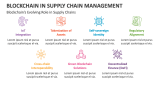 Blockchain's Evolving Role in Blockchain in Supply Chain Management - Slide 6