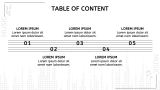 Musician Portfolio Presentation - Slide 2