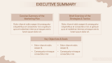 Elegant Marketing Plan - Slide 3