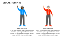 Cricket Umpire - Slide 1