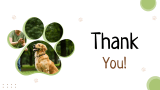 Dog Training Presentation Theme - Slide 12