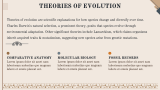Theories of Evolution - Slide 2