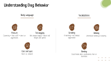 Dog Training Presentation Theme - Slide 5