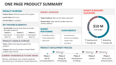 One Page Product Summary - Slide 1